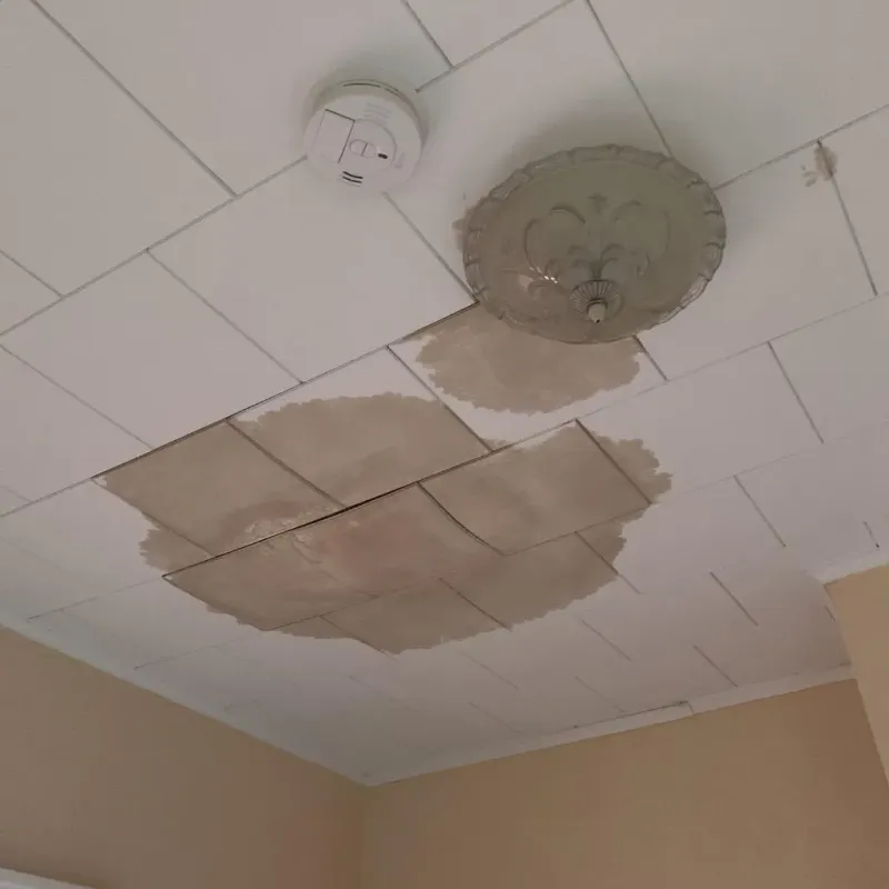 Ceiling Water Damage Repair in Pearl River, MS