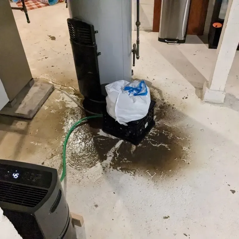 Sewage Backup Cleanup Service in Pearl River, MS
